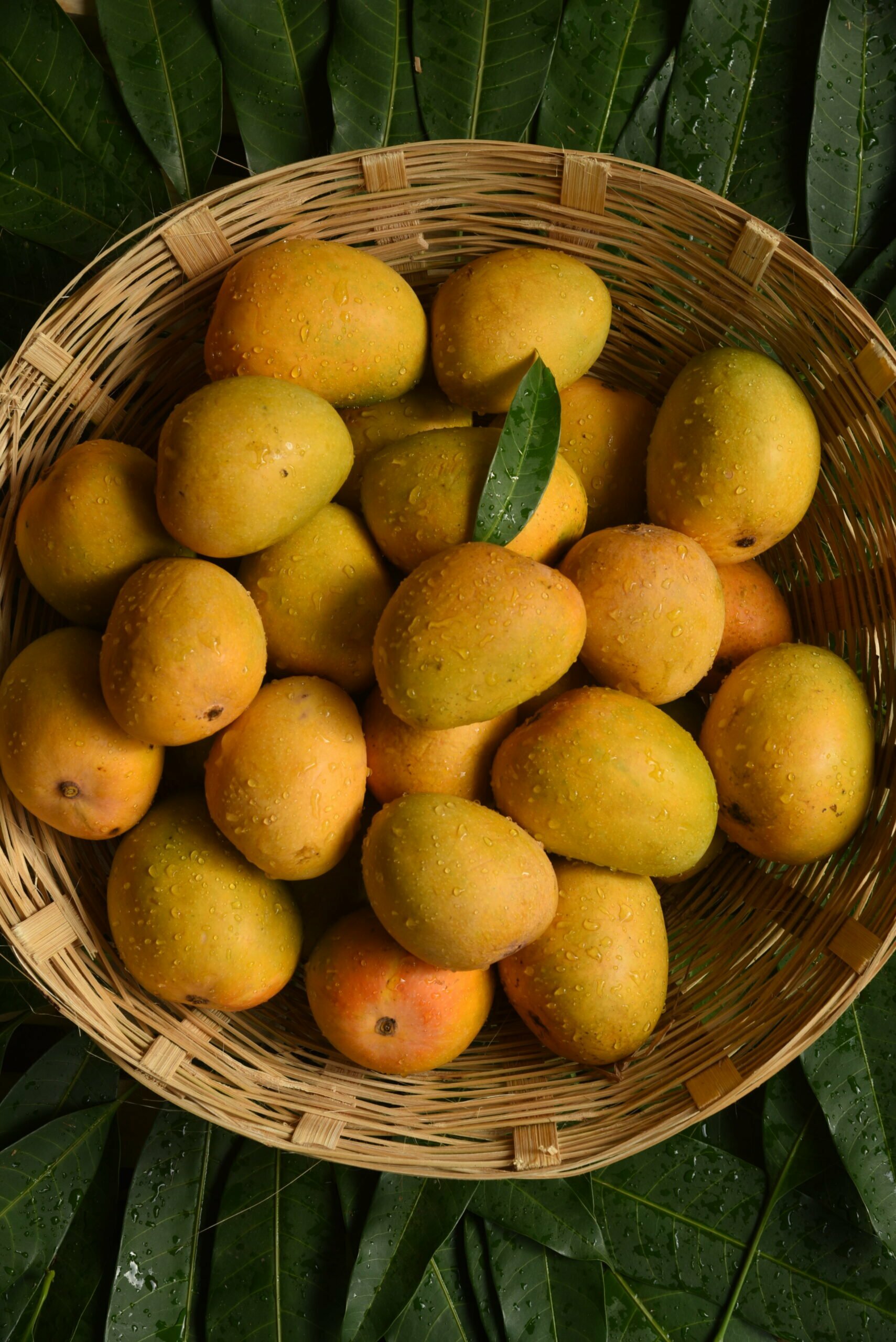 Ripe and Ready: Premium Mangoes Delivered to Your Doorstep