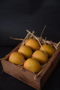 Alphonso Mangoes
